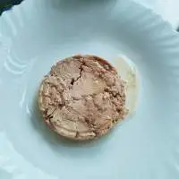 Canned Tuna Tongol Shredded In Vegetable Oil