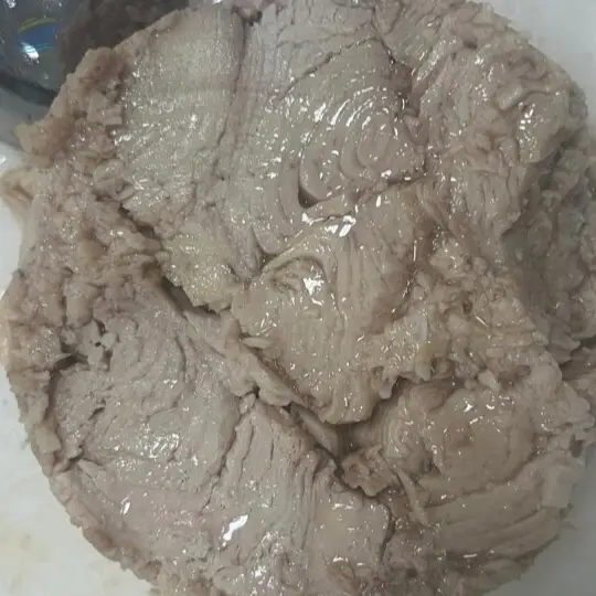 Canned Tuna Tongol In Vegetable Oil