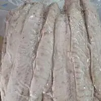 Frozen Precooked Skipjack Tuna Loin