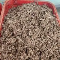 Frozen Precooked Black Meat Tuna
