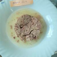 Canned Tuna Skipjack/ Bonito/ Tongol In Oil