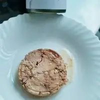Canned Tuna Skipjack/ Bonito/ Tongol