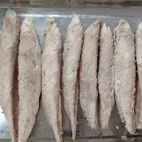Frozen Pre-cooked Tuna Loin