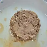 Canned Tuna Skipjack/ Bonito/ Tongol in oil