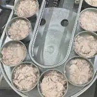 Canned Tuna Skipjack/ Bonito/ Tongol