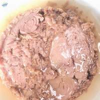 Canned Tuna Skipjack In Vegetable Oil