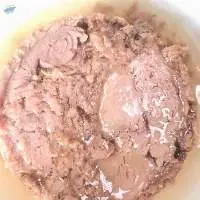 Canned Tuna Skipjack In Vegetable Oil