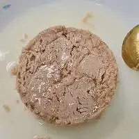 Canned Tuna Bonito In Vegetable Oil