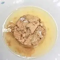 Canned Tuna Skipjack in Soyabean Oil
