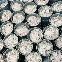 Canned Tuna Bonito in Soyabean oil