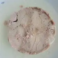 Canned Tuna Bonito in Soyabean oil