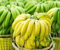 Green Bananas