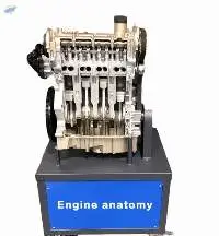 Dynamic Engine Anatomy