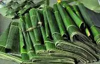 Banana Leaf