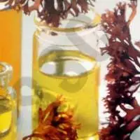 Sage Oil