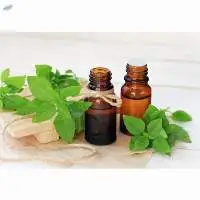 Basil Oil