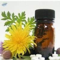 Calamus Oil