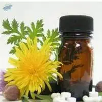 Calamus Oil