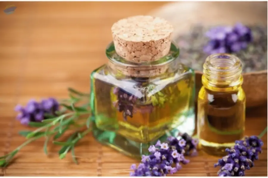 Lavender Oil
