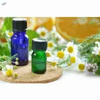 Roman Chamomile Oil