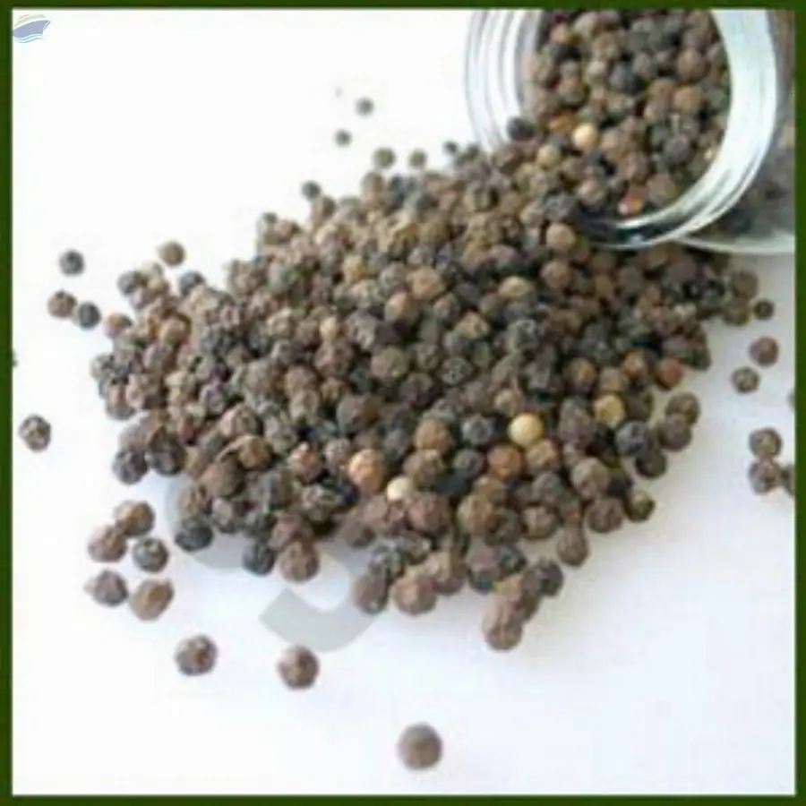 Black Pepper & Oleo