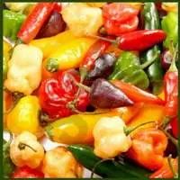 Red Chilli Oleo