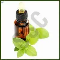 Mint Oil