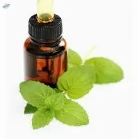 Davana Oil