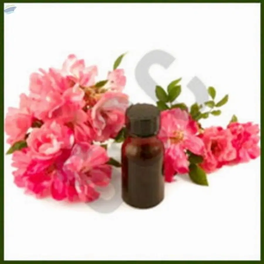 Rose Otto Oil