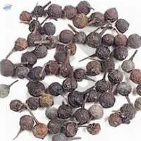 Cubeb Oil
