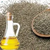 Ajwain Oil