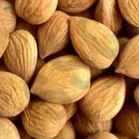 Bitter Almond Oil