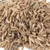 Cumin Seed Oil