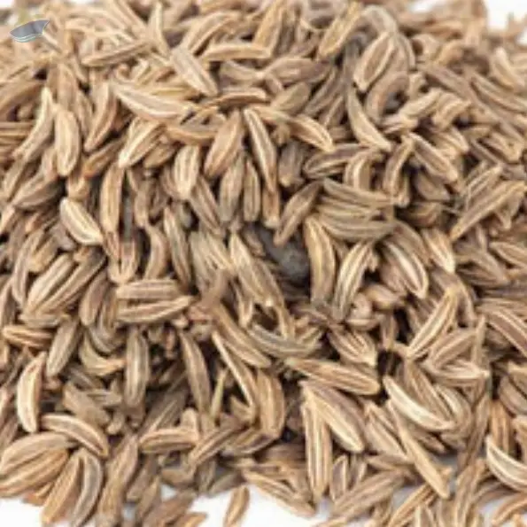 Cumin Seed Oil