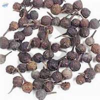 Cubeb Oil