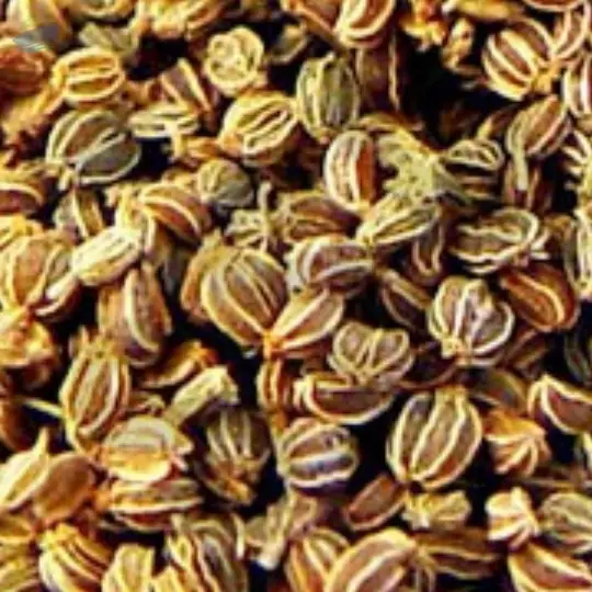 Celery Seed Oil