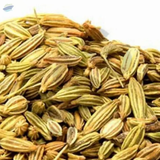 Fennel Seed Oil