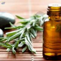 Essential Oils