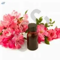 Rose Otto Oil