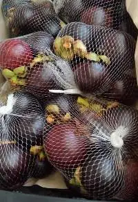 Mangosteen
