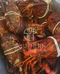 Live Lobster / Frozen