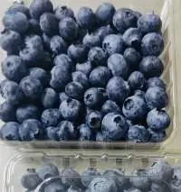 Blueberries
