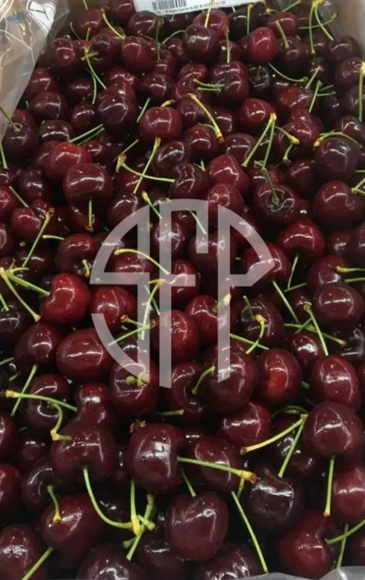 Cherries Season