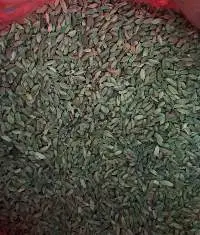 Cardamom Elachi