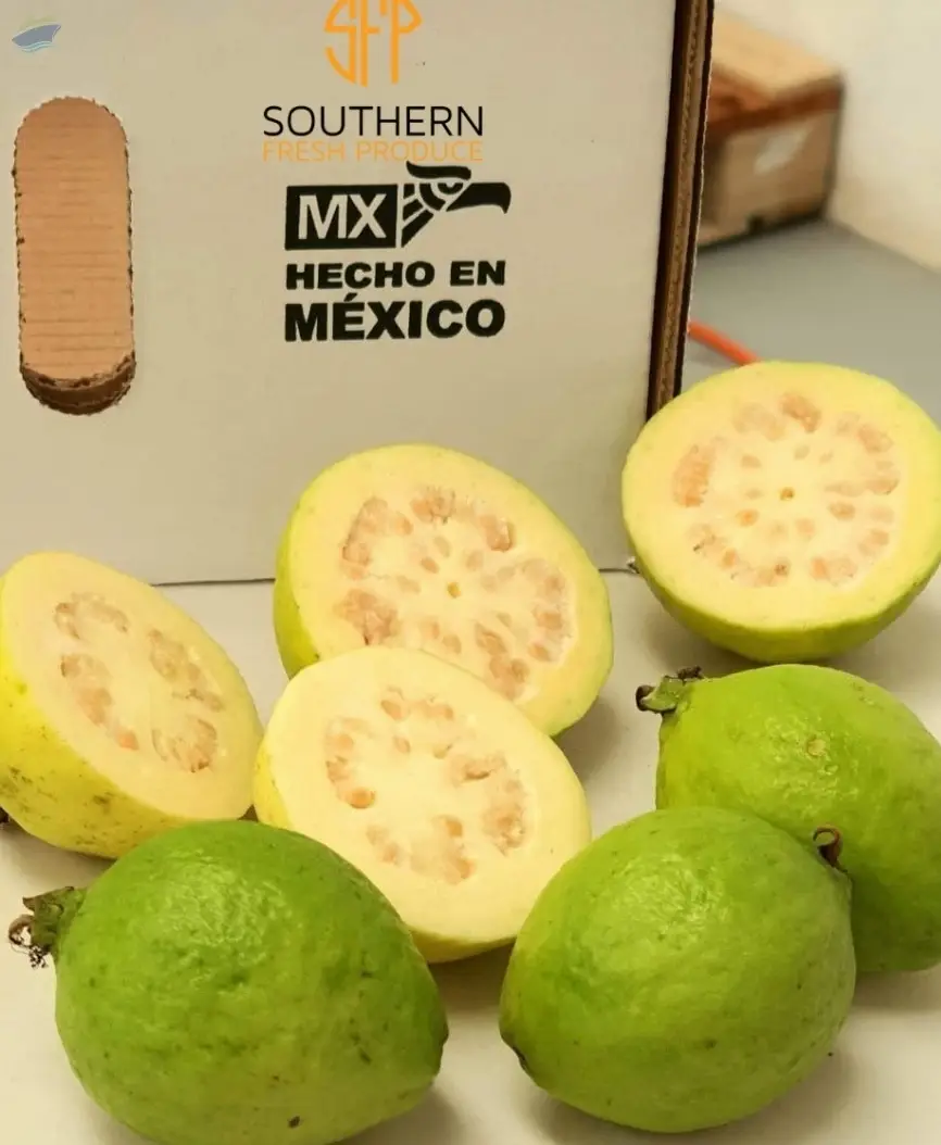 Guava