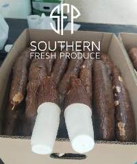 Cassava