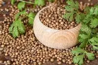 Agro Product -Seeds Variety
