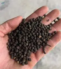 Black Pepper