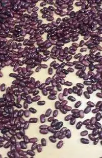 Beans