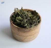 Nettle (Tops With Leaves) Organic